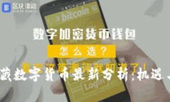 2023年西藏数字货币最新分