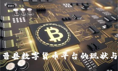 深入探索曹县数字货币平台的现状与未来发展