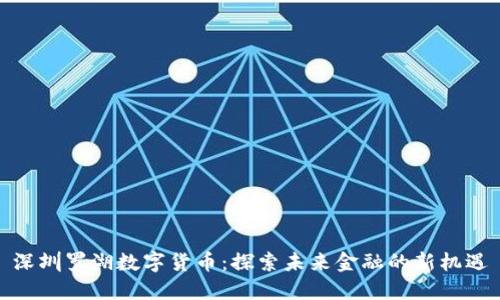 深圳罗湖数字货币：探索未来金融的新机遇