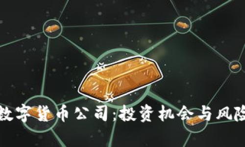 入股数字货币公司：投资机会与风险分析