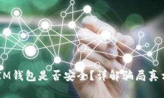 TokenTokenIM钱包是否安全？