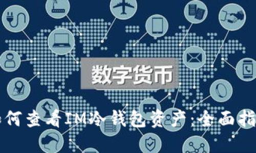 如何查看IM冷钱包资产：全面指南