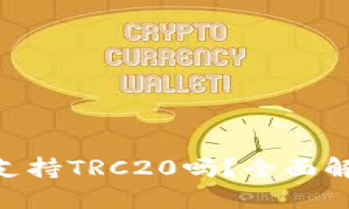 Tokenim钱包支持TRC20吗？全面解读及使用指南