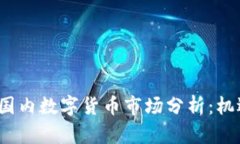2023年国内数字货币市场分