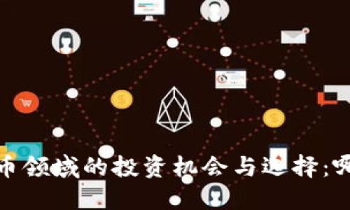 2024年数字货币领域的投资机会与选择：哪个更值得关注？