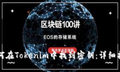 如何在Tokenim中找到密钥：