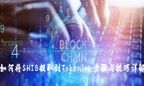 如何将SHIB提取到Tokenim：步骤与技巧详解