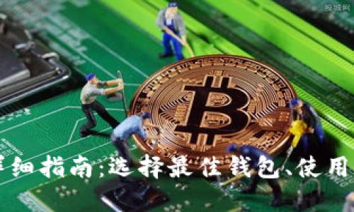 以太坊主钱包详细指南：选择最佳钱包、使用技巧与安全防护