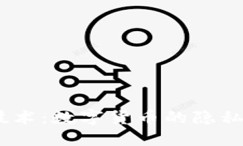 深入了解ZK技术：数字货币的隐私与安全新标准