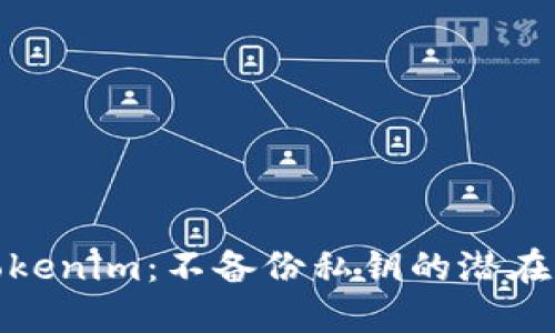 如何安全使用Tokenim：不备份私钥的潜在风险与应对策略
