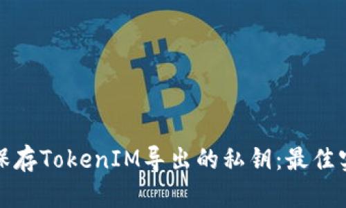如何安全保存TokenIM导出的私钥：最佳实践与技巧