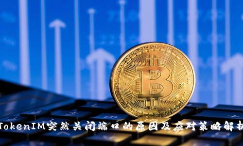 TokenIM突然关闭端口的原因及应对策略解析