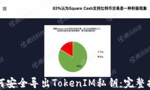 
如何安全导出TokenIM私钥：完整指南