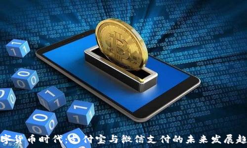   
数字货币时代：支付宝与微信支付的未来发展趋势