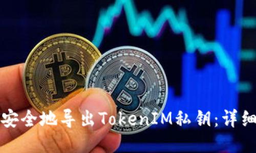如何安全地导出TokenIM私钥：详细指南