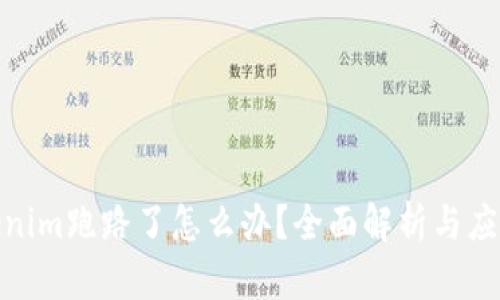 : Tokenim跑路了怎么办？全面解析与应对策略