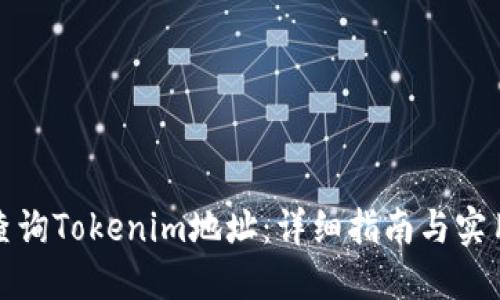 如何查询Tokenim地址：详细指南与实用技巧
