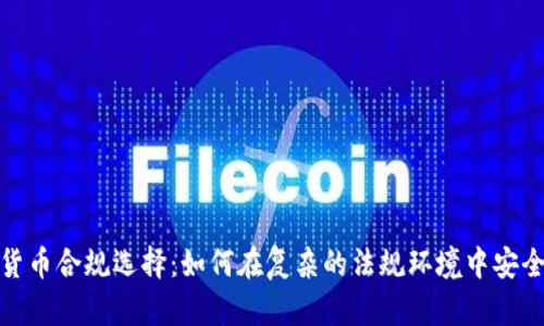 数字货币合规选择：如何在复杂的法规环境中安全投资