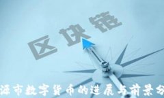 河源市数字货币的进展与
