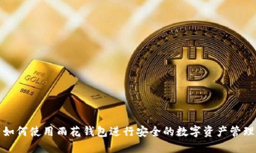 如何使用雨花钱包进行安全的数字资产管理