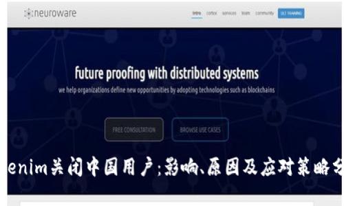 Tokenim关闭中国用户：影响、原因及应对策略分析
