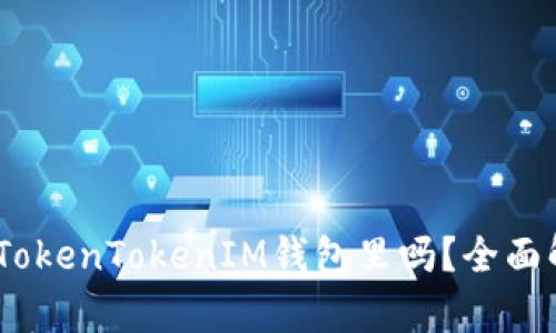 USDT可以放到TokenTokenIM钱包里吗？全面解析与使用指南