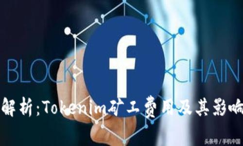 全面解析：Tokenim矿工费用及其影响因素