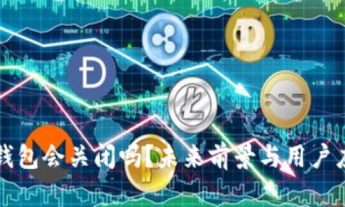 以太坊钱包会关闭吗？未来前景与用户应对策略