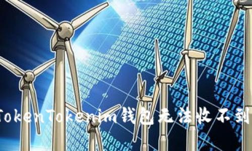 如何解决TokenTokenim钱包无法收不到币的问题？