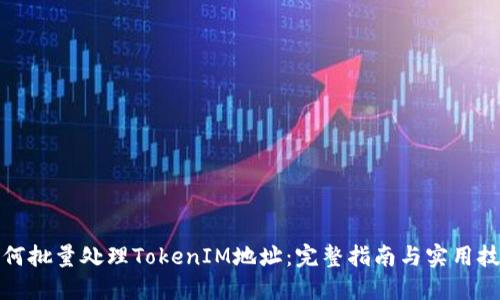 如何批量处理TokenIM地址：完整指南与实用技巧