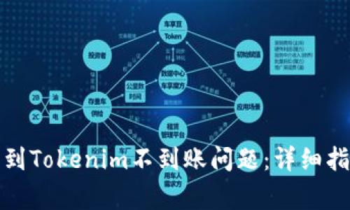 如何解决火币提币到Tokenim不到账问题：详细指南与常见疑问解答