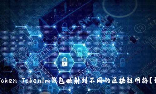如何将Token Tokenim钱包映射到不同的区块链网络？详尽指南