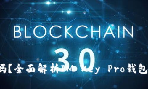 IM Key Pro钱包安全吗？全面解析IM Key Pro钱包的安全特性与风险评估