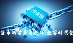 央行数字货币的前景与挑