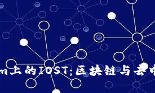 深入了解Tokenim上的IOST：区块链与去中心化应用的未来