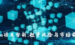 Tokenim项目分析：投资风险