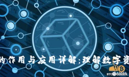 TokenIM地址的作用与应用详解：理解数字资产管理的基础