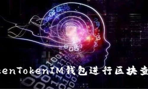 如何使用TokenTokenIM钱包进行区块查询：全面指南