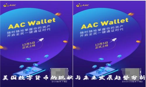 美国数字货币的现状与未来发展趋势分析
