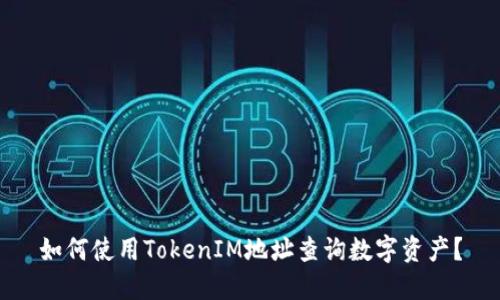 如何使用TokenIM地址查询数字资产？