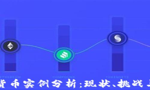 
中国数字货币实例分析：现状、挑战与未来趋势
