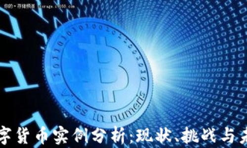 
中国数字货币实例分析：现状、挑战与未来趋势