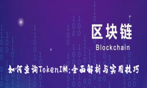 如何查询TokenIM：全面解析与实用技巧