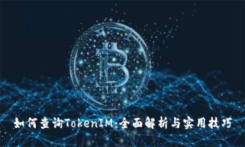 如何查询TokenIM：全面解析与实用技巧