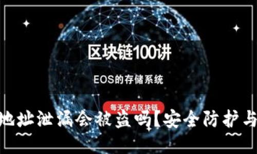 TokenIM地址泄漏会被盗吗？安全防护与风险评估