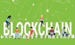 如何设置SEC数字货币：新手指南与详尽步骤