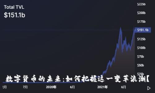 数字货币的未来：如何把握这一变革浪潮？