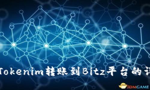 如何将Tokenim转账到Bitz平台的详细指南