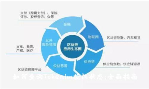 如何查询Tokenim授权状态：全面指南