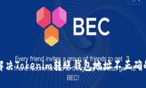 如何解决Tokenim转账钱包地址不正确的问题